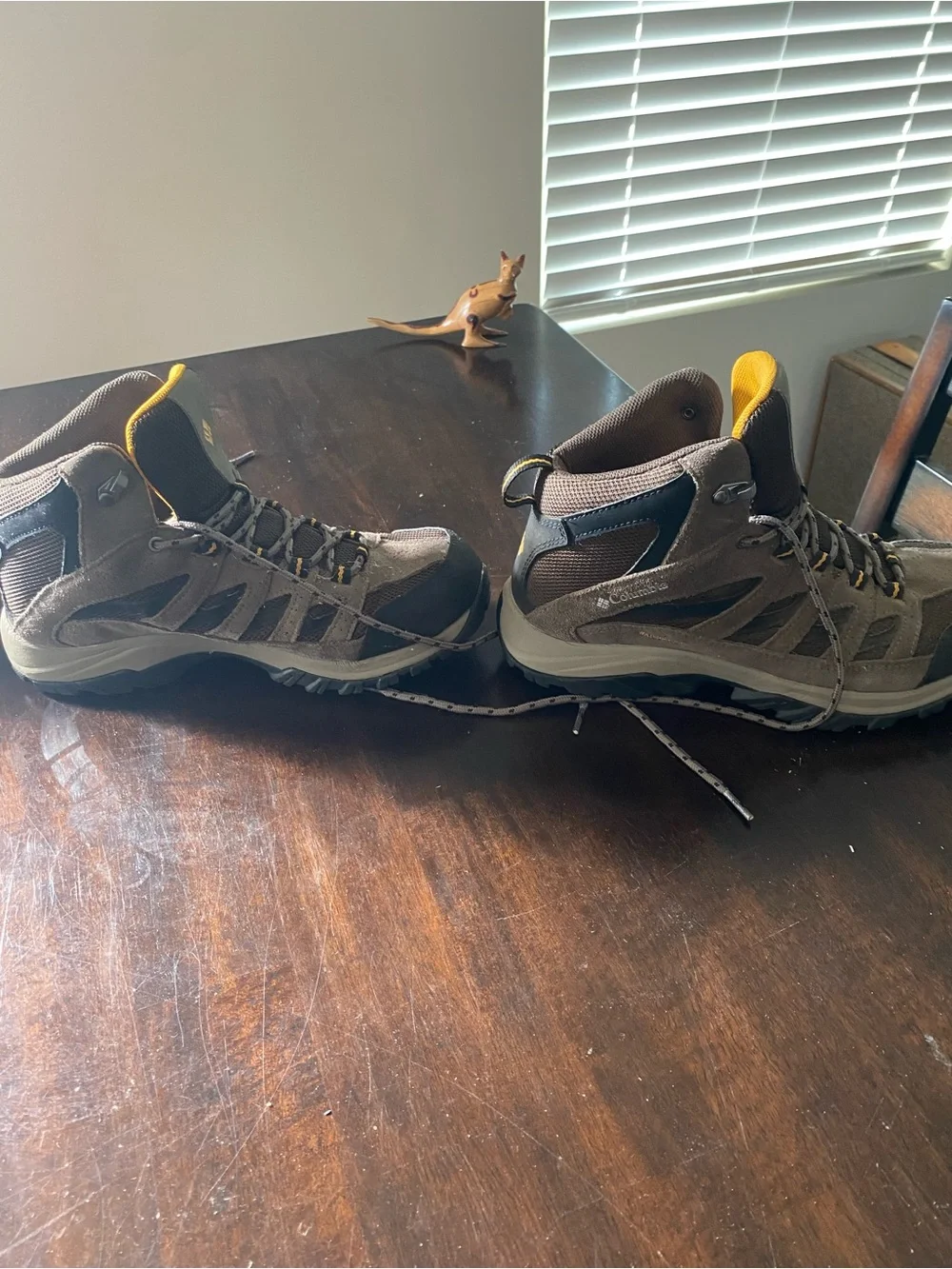 Columbia Brown and Black Men's Hiking Boots